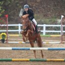 함양승마클럽 이미지