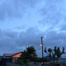 함평책집 이미지