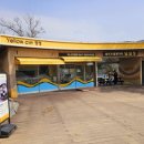 장성호 출렁다리(넘실정) 이미지