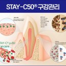 덴탈마트 네이버블로그