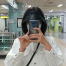 위드푸르츠 | 북극사슴의 2025년 최애아이템들