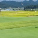 옥과골프장 이미지