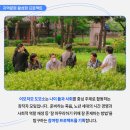 이모저모도모소 네이버블로그