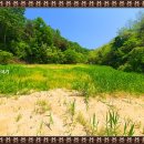 봉화부분정비 이미지