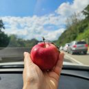 삼박골펜션 이미지