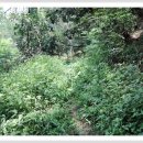 천주산 누리길 이미지