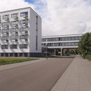 한일바우 이미지