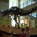 서대문자연사박물관 이미지