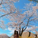 경주열린약국 이미지