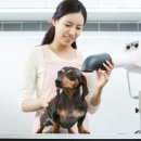 24시 딜라이트 동물의료센터 이미지