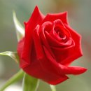 생각열매작은도서관 이미지