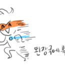 다잇지스포츠 이미지