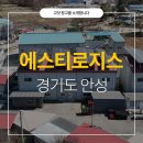 에스티로지스