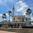 반딧불 프리미엄 이미지