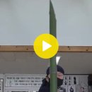 청심검도관 이미지