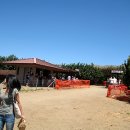 형민농장 이미지