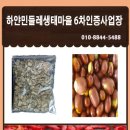 (주)떡과풍경 네이버블로그