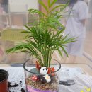 돌봄교실 원예수업 2회기~ #쉬즈플라워앤파티, #대구플라워, #원예치료, #대구원예치료사김연화, 복지원예사 이미지