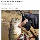 돋음 이미지