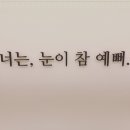 렌즈미 콘택트렌즈 전문점 이미지