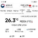 국화동호회 분재 꽃비료, 폴리피드 적색(k34), 미생물 혼합 관수 시작 26.9.10.목. 이미지