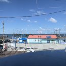 나무그늘 포토타임 이미지