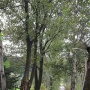 노선목장 이미지