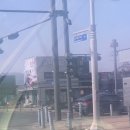 개밥도둑&개털도둑 | 개밥도둑 구래점 애견간식 구매후기