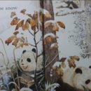 더푸르네유치원 이미지