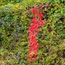 MY 행정사 사무소 이미지