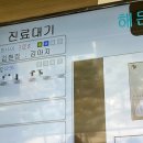 양주24시해든동물의료센터 이미지