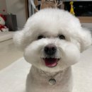 쥬뗌몽슈 이미지