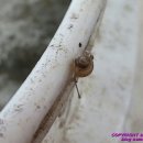 당골낚시터 이미지