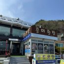 흥미회집 | (강원도/여행) 양양 '흥미횟집' 특물회, 회덮밥 내돈내산 후기