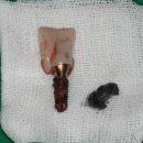 365올케어치과의원 이미지