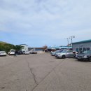 영금정활어회센터 이미지