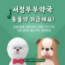 서정부부약국 이미지