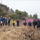 백운산 국사봉 철쭉축제 작은뉴스