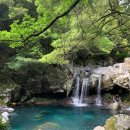 ◈아름다운 제주여행 물가 팩트체크◈2025.05.20. 이미지