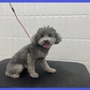 이쁘개몽 이미지