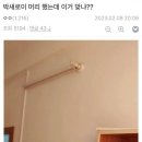 뿜헤어