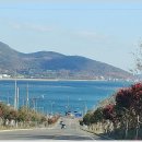 창무산성교회 이미지