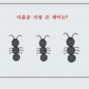 개미 이미지