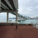 남항대교 하부 이미지