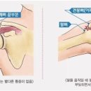 JLP스포츠 이미지