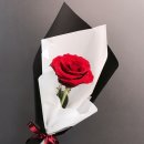 송이여성의원 이미지