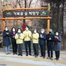 디자인거북골 네이버블로그