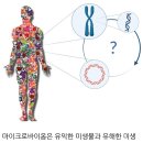 신마 이미지