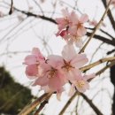 우면산5-13 이미지