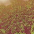 (주)비피도 이미지